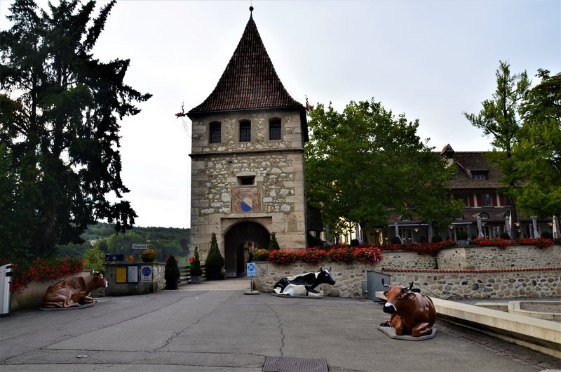 CATARATAS DEL RHIN-5-9-2019 - Suiza y sus pueblos-2019 (2)
