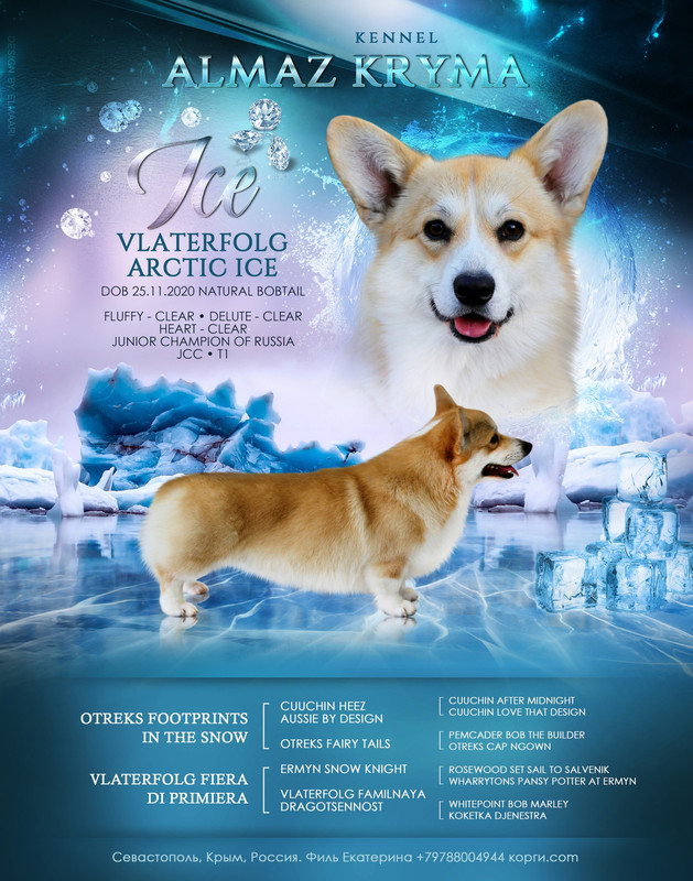 Айса презентация