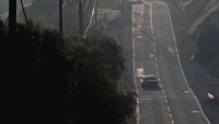 SPN522-Impala-Montage-SM