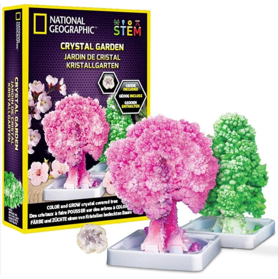 Screenshot 2025 11 11 091337