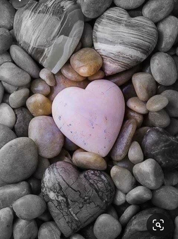 Screenshot_20230422_233250_Pinterest