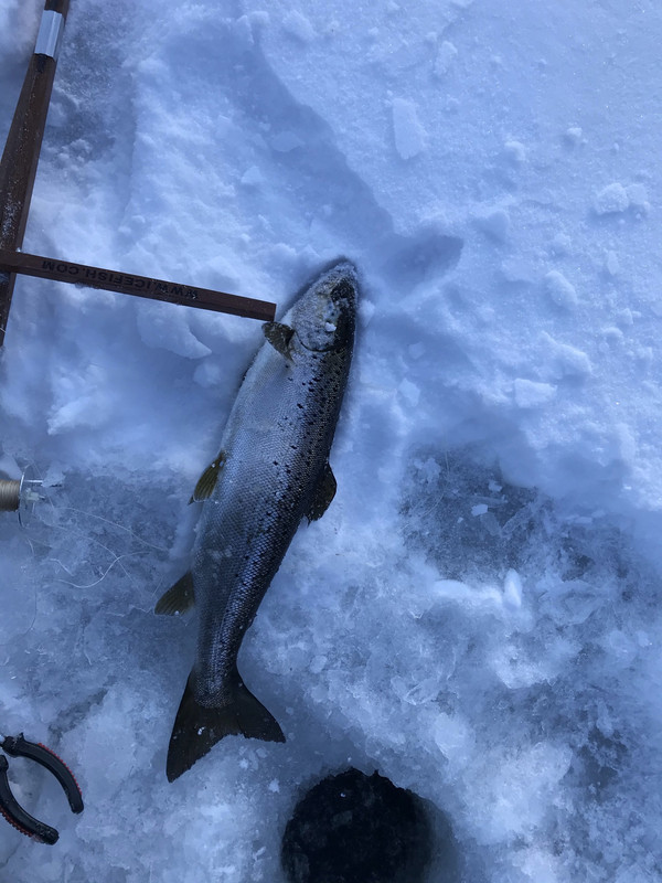 681B6A7E-8883-4607-872A-80D545E18B09