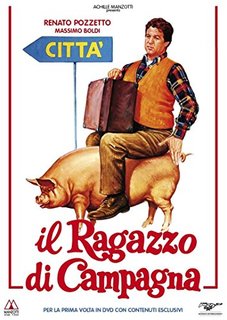 Il ragazzo di campagna (1984).mkv BDRip 720p x264 AC3/DTS iTA