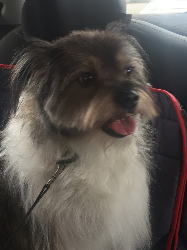 ABA32D00-3DC2-4F21-B3ED-C35AA39A493E