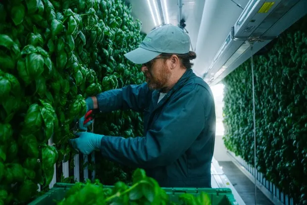 Farming Meets Food Tech