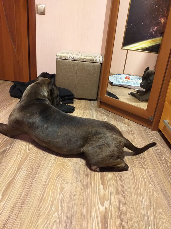 53F88373-3697-4BB7-879D-8210221A31AA