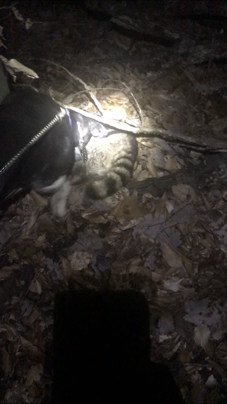 A6A42356-04C8-4964-8617-D159FD6B0B6C