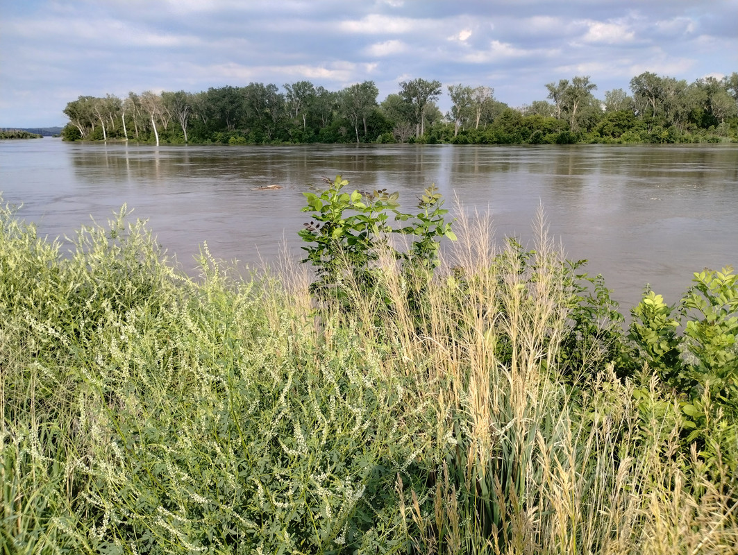 IMG_20240628_180515231_HDR