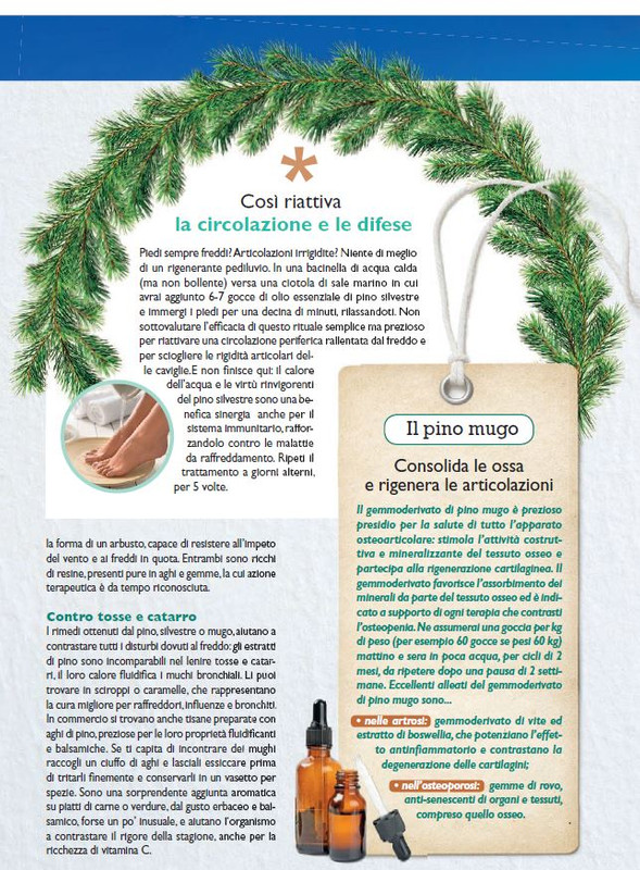 Sal Nat Dic 2024 (4)