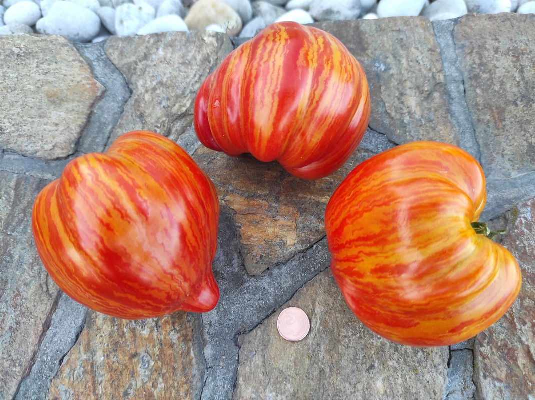 536154539_24359204680365235_5552377662360980849_n