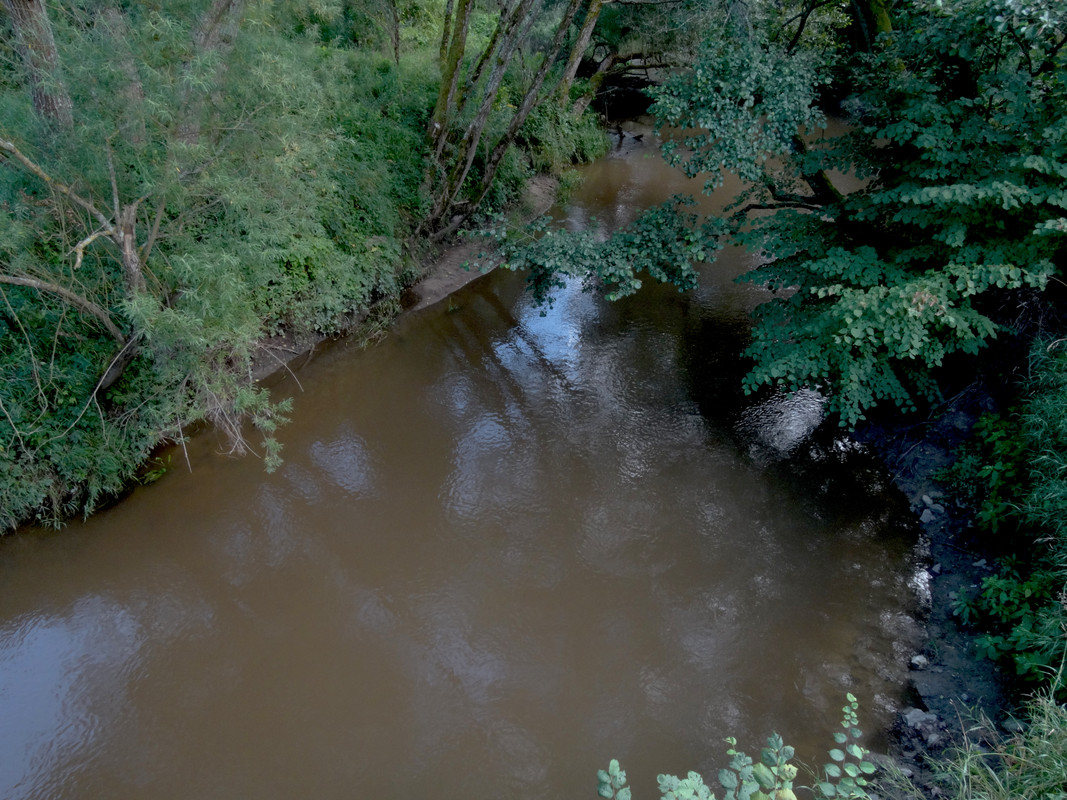 23.03 - DSC07622 (Czesio1)