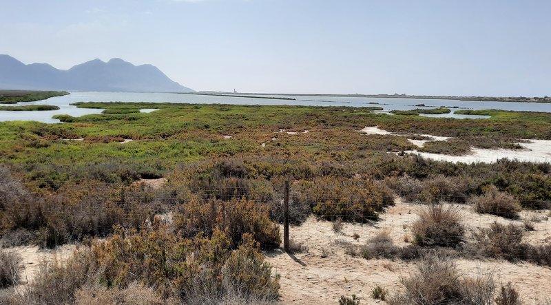 Día 7. Playas del Cabo de Gata - Cabo de Gata y costa Este de Almería (2)