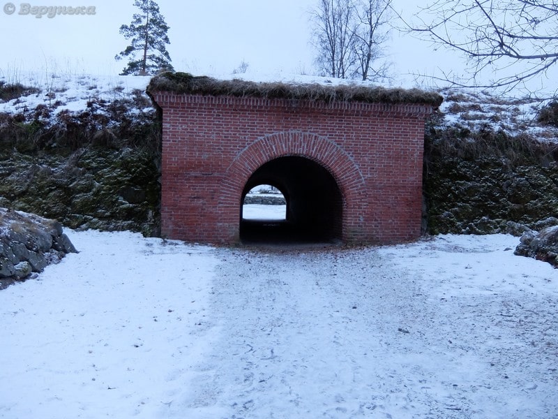 DSCF6494