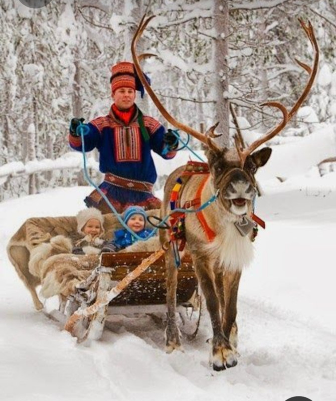 Screenshot_20230313_004646_Pinterest