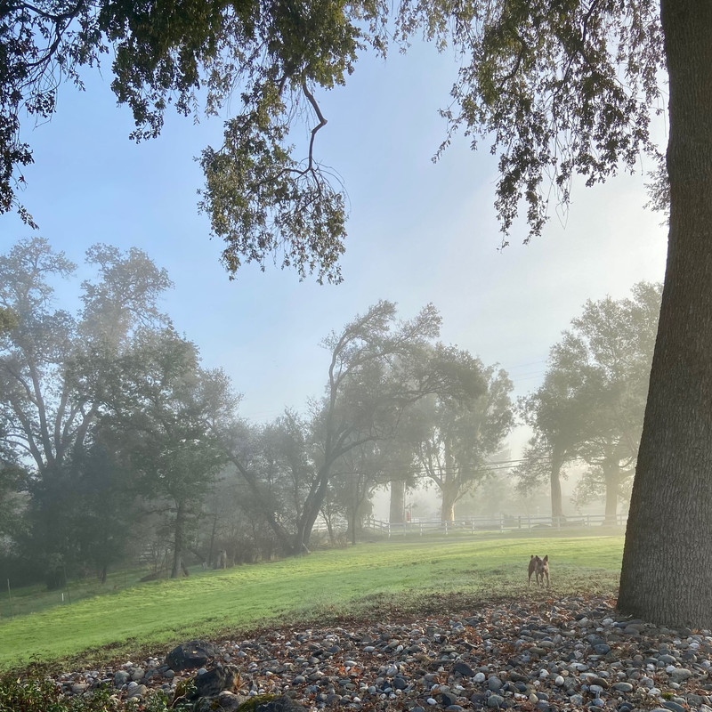 816B092F-4008-4A29-B5E0-947AE2B48A77