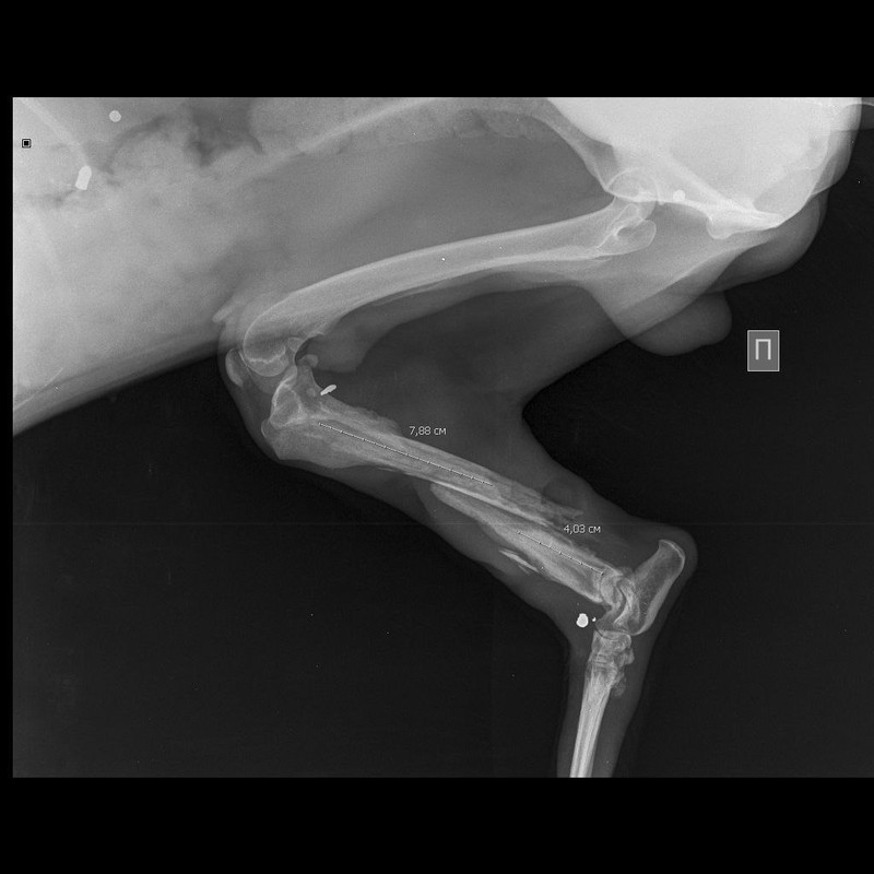 IMG 20260317 233932 109