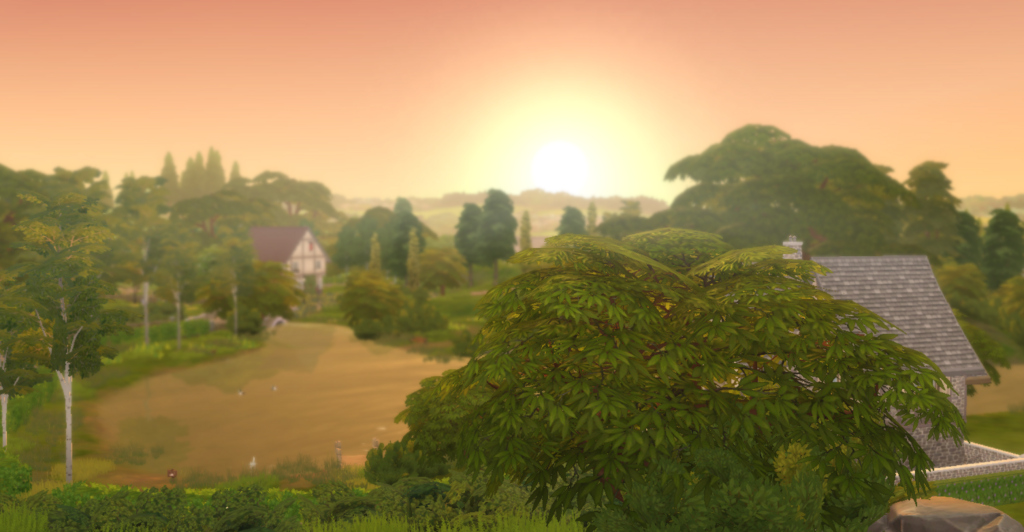 a-gorgeous-sunset-behind-wolfgangs-house.png