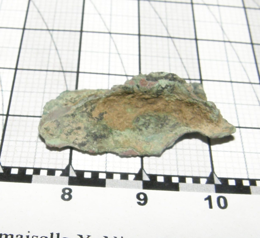 outomus 008