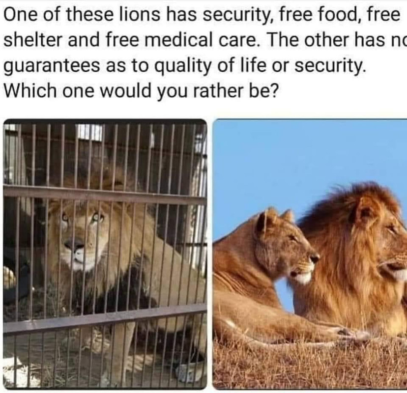 0A0AA698-134C-43C0-BF97-93397E2C1AC4