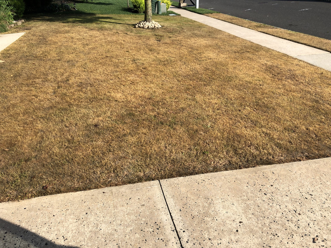 793FF8C7-3645-4A50-B3B4-AC0866BFAFBC