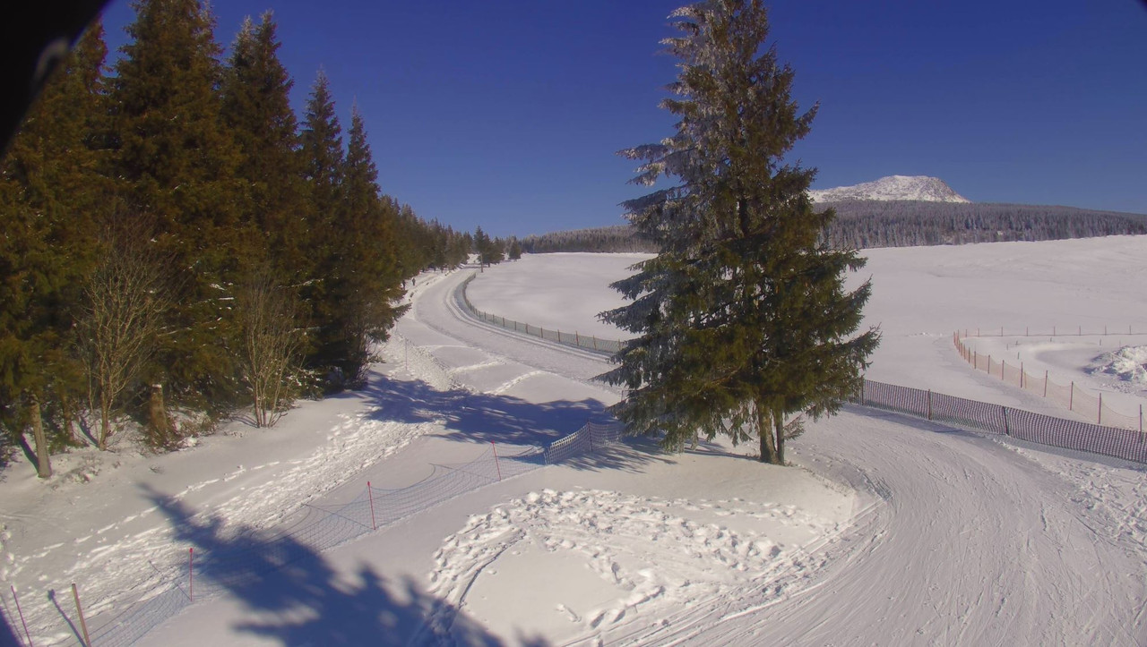 les-estables-ski-nordique-2024-12-25-14-