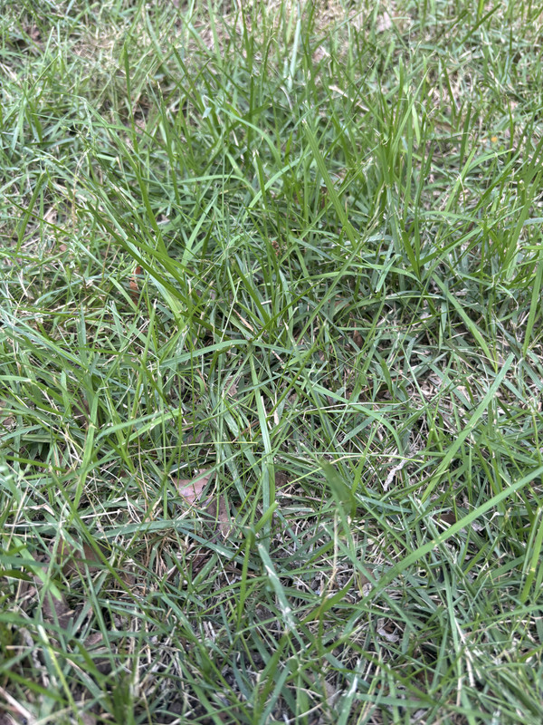 3DDAF6F5-F7A5-41B0-9A9D-902EB4A5DF54