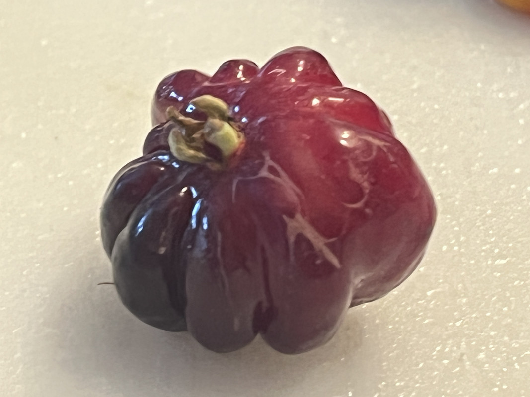 127B7AE6-D2D4-4231-8C04-0FF2C0C57BCD