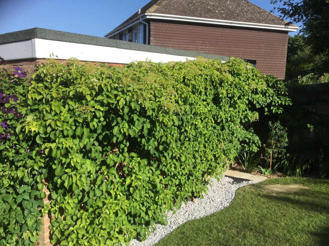 688BB119-4901-47D5-B08A-AA3CBC18EEAD