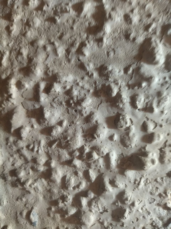 IMG_20240613_183200_496