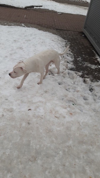 CF1BDAC6-DF8D-4B4B-B12E-E93EE24BE833