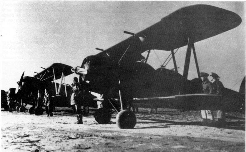 FK_51Spanjenr_svlfotoKOOLHOVEN_1