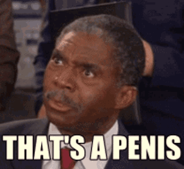 IMG-7313.gif