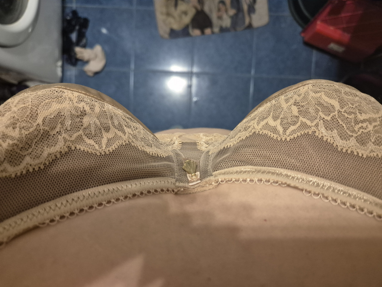 Elomi Cate Allure 80F 3