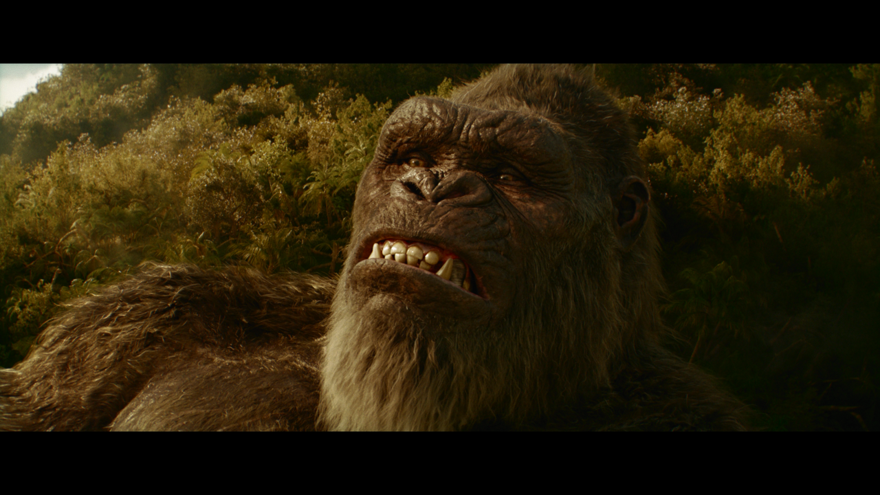 mpv-shot_Godzilla.x.Kong.The.New.Empire.2024.2160p.UHD.BDREMUX.DV.HDR.HEVC-Нечипорук_00_21_43_0003