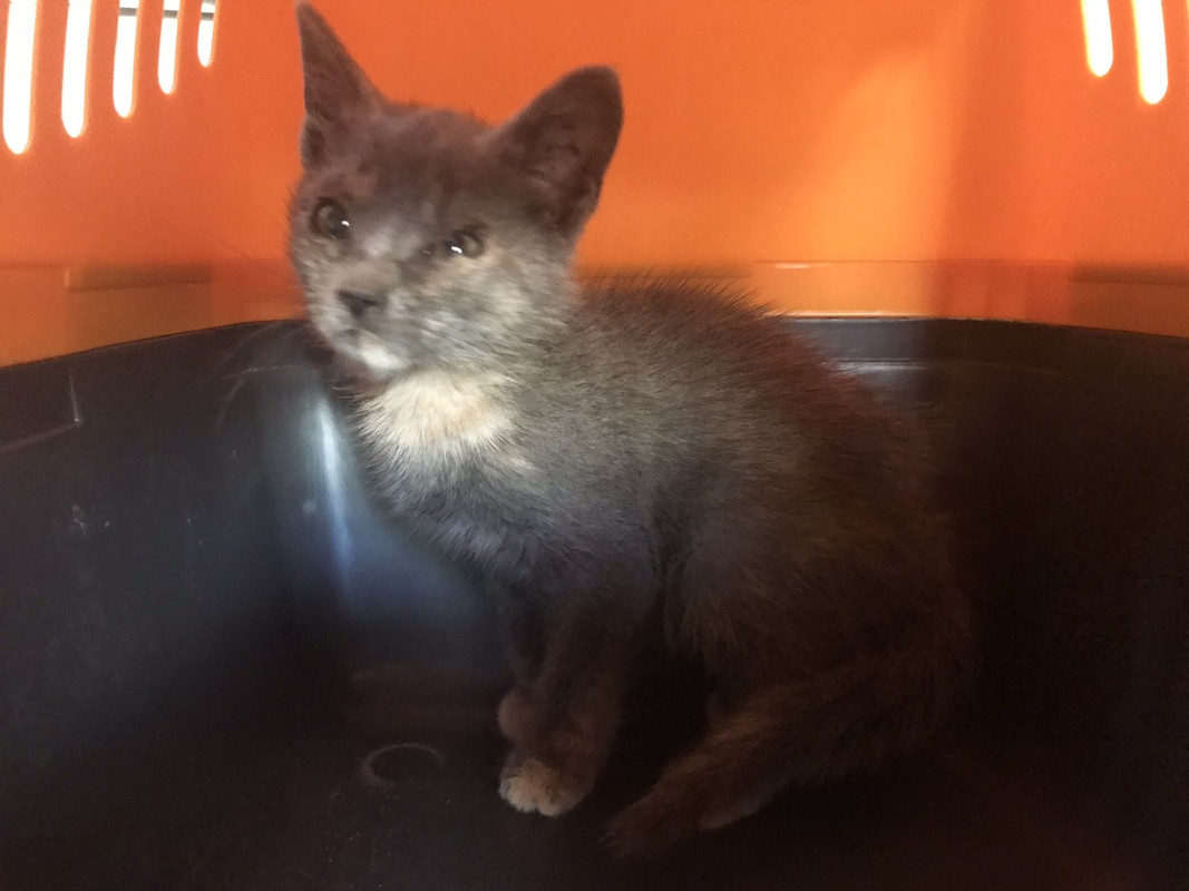 AEDB1D0A-24A1-4D51-9F84-5126CE135E11