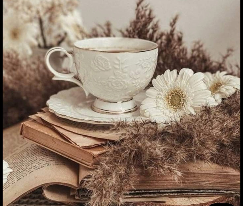 Screenshot_20251002_195127_Pinterest