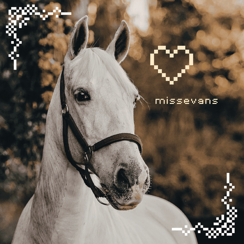 missevan-(1)-(1)-(2).png
