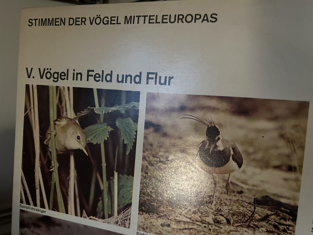 [Bild: IMG-4827.jpg]