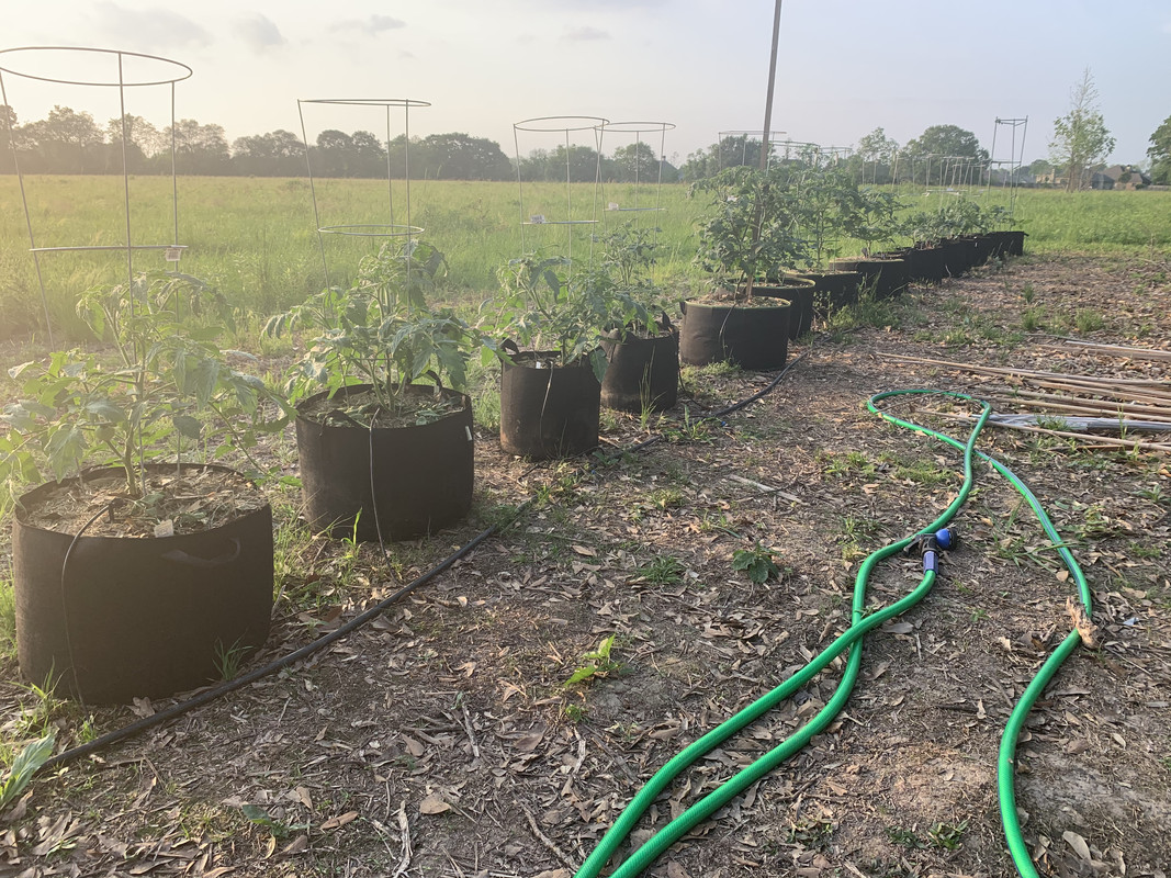 E821C8E8-6566-4270-818A-9D20C73DDCE0