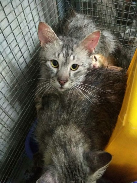 A6FA76C9-ECE4-44F0-BE59-BF0529B9E6A7