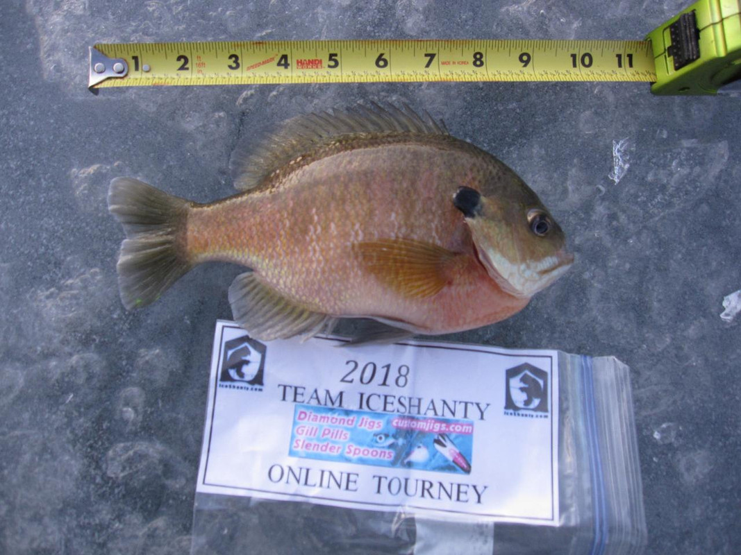 Gill 1 - 25 - 18 001