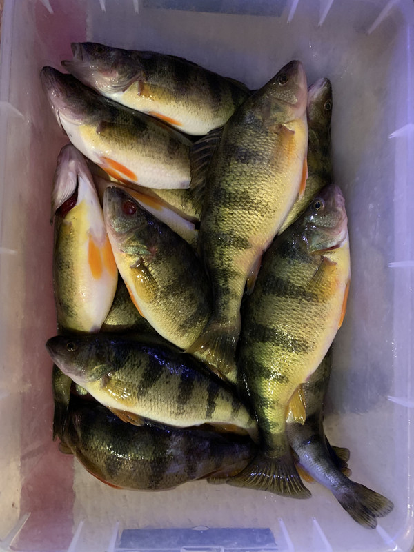 1518B0DD-2A37-40B2-8BF5-3D6DF7354C4D