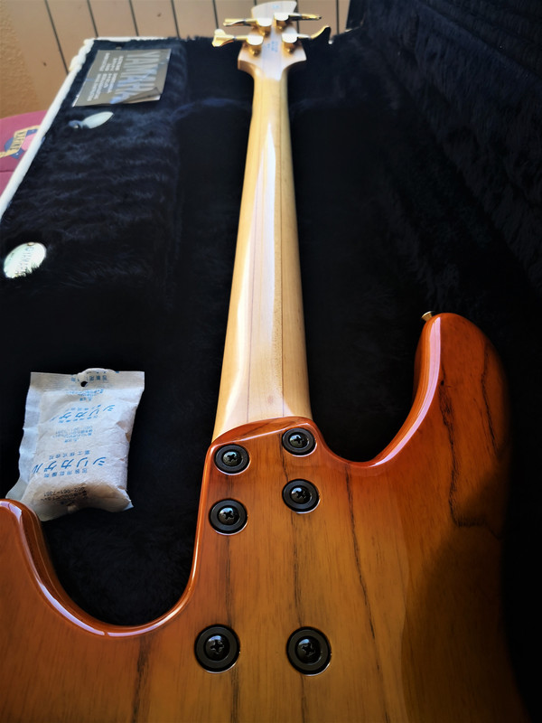 IMG-20201201-115453.jpg