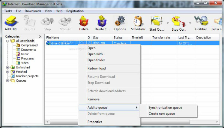 Internet Download Manager (IDM) 6.41 Build 5 4