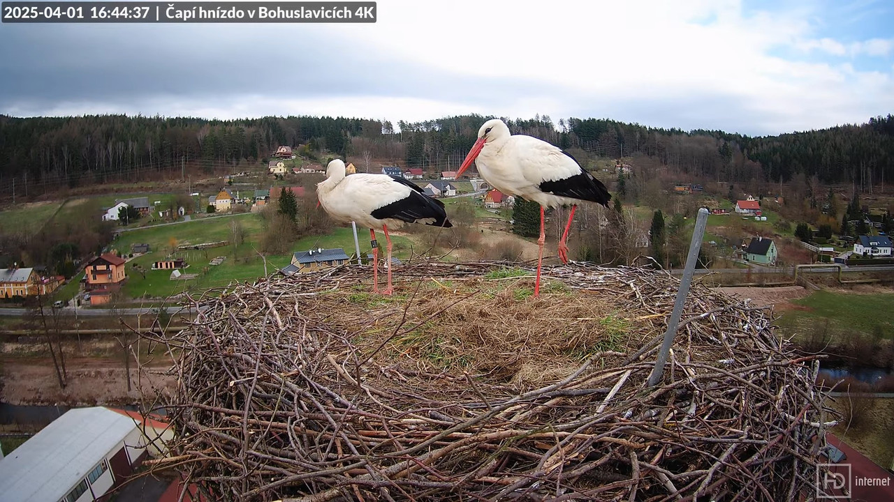 Tiešraidē no uzņēmuma KARA stārķa skursteņa Bohuslavicē pie Trutnovas 13-58-23 screenshot