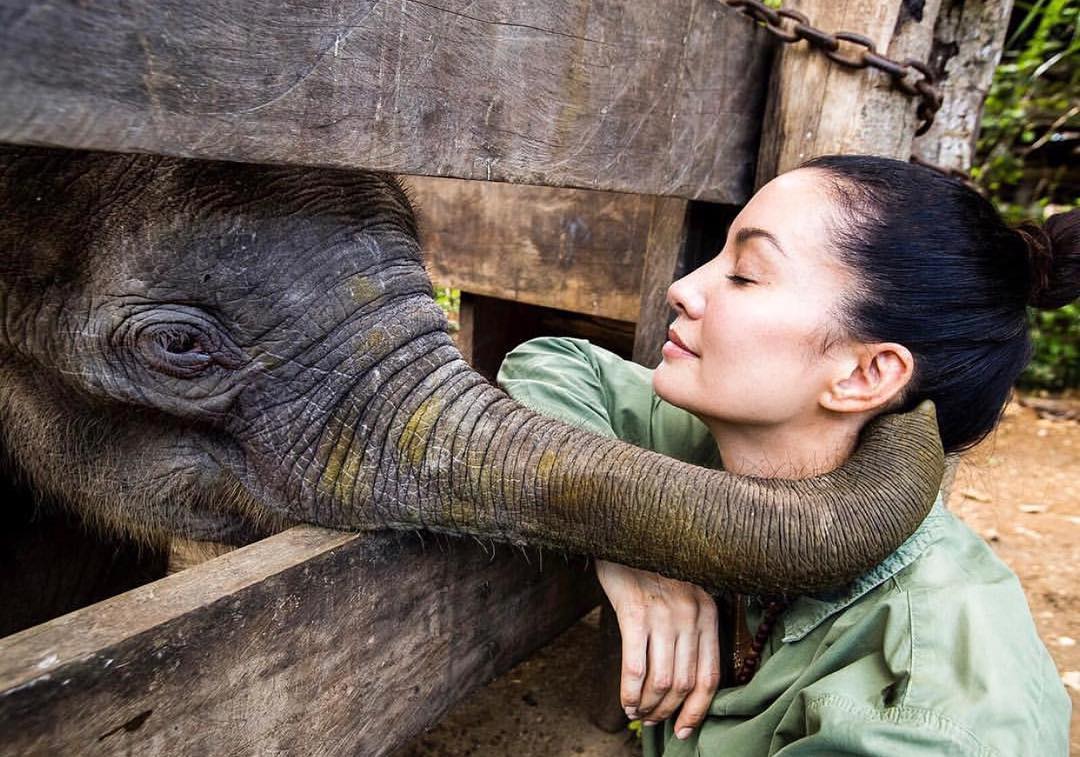 Nadya Hutagalung foto bersama gajah Sumatera
