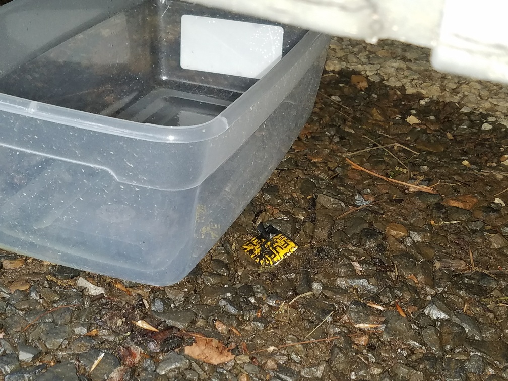 20180511_195903_resized