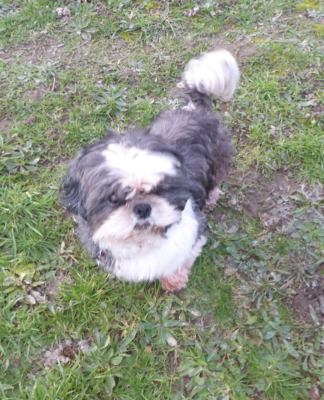 [Image: P1010966.jpg]