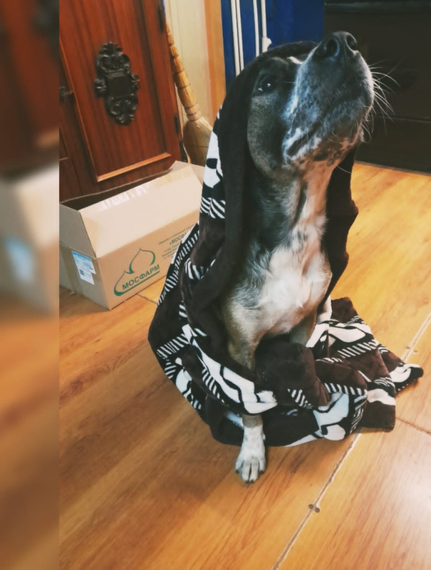 D15DB784-22F9-4B65-82EE-922FB899C416