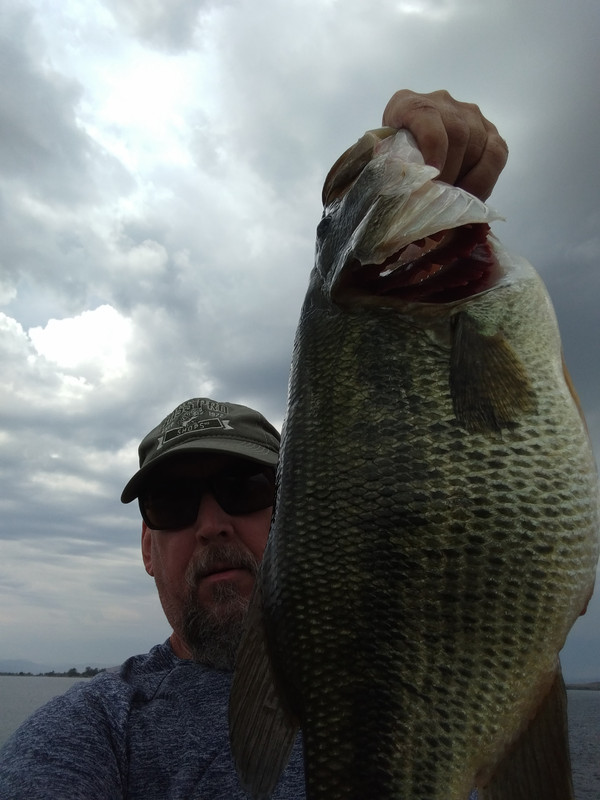 IMG_20210707_115409994